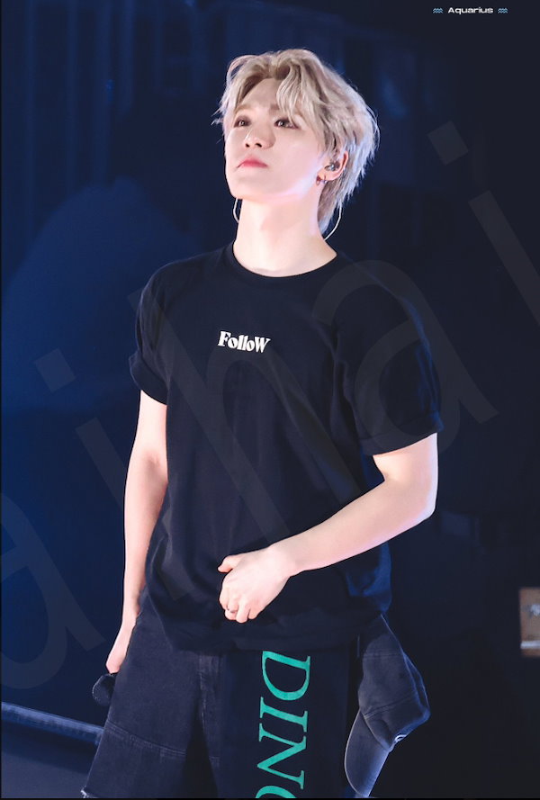 Qoo10] [SEVENTEENディノ着用] Pig