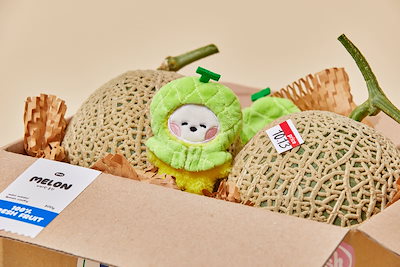 【新品未使用♡即購入可】BT21　COONUTS BOX 2025年最新】Yahoo!オークション -bt21 クーナッツの中古品