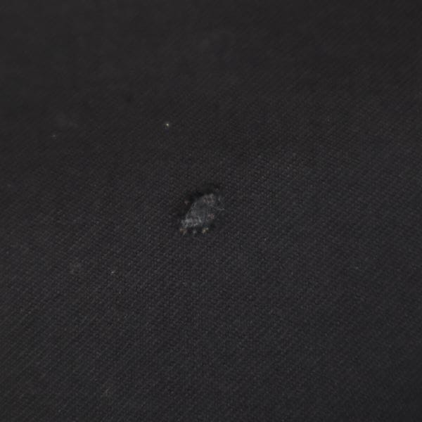 イタリア製 長袖 ウール100％ テーラードジャケット 46 ブラック メンズ