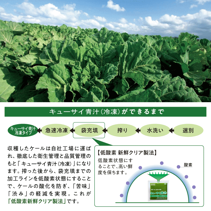 青汁 冷凍タイプ 90g7パック 10セット