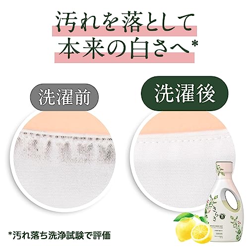 さらさ 洗濯洗剤 1.01kg×6袋 無添加 植物由来の厳選成分配合 詰め替え 【Amazon.co.jp限定】 [ケース販売]