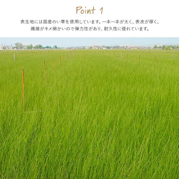 撥水 国産 い草 日本製 置き畳 ユニット畳 簡単 和室 ナチュラル 約88x88cm 単品