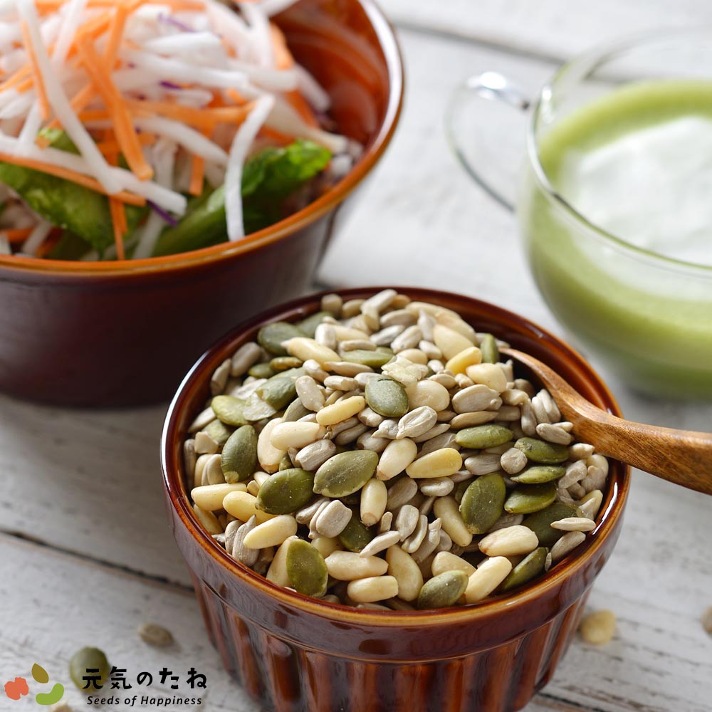 塩味 元気シードミックス 900g ひまわりの種 かぼちゃの種 松の実 塩味 元気シードミックス 900g ひまわりの種 かぼちゃの種 松の実