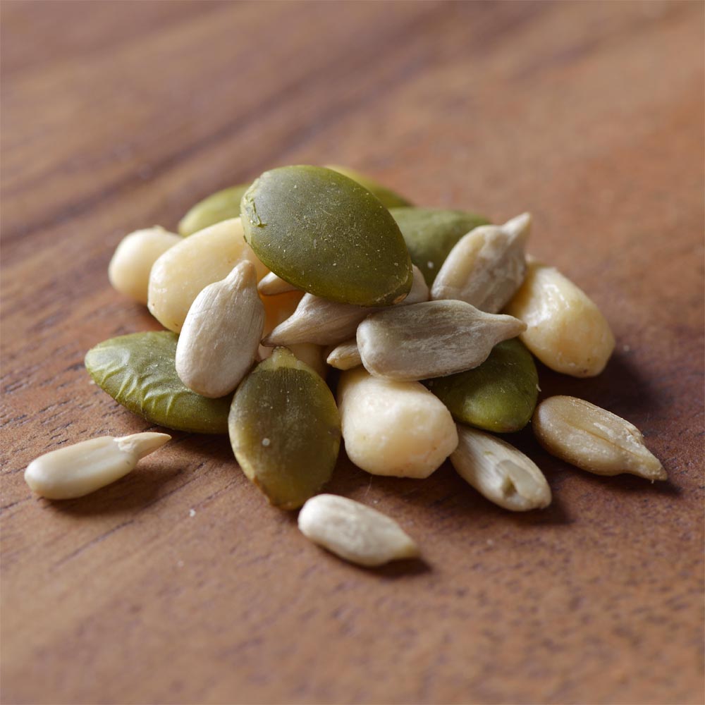 塩味 元気シードミックス 900g ひまわりの種 かぼちゃの種 松の実 塩味 元気シードミックス 900g ひまわりの種 かぼちゃの種 松の実