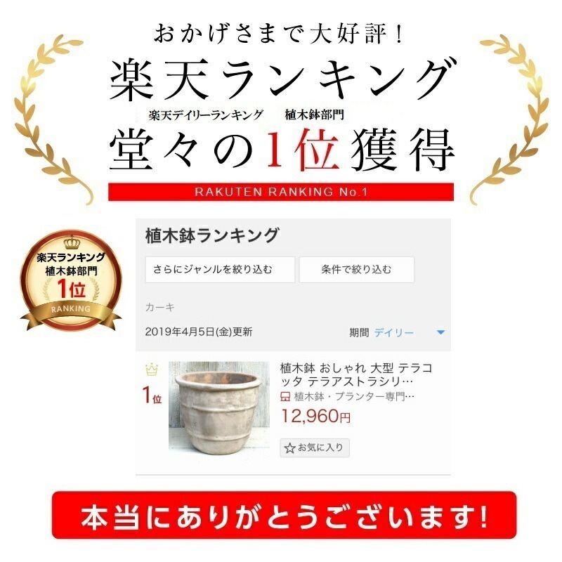 植木鉢 おしゃれ テラコッタ テラアストラシリウスS 35cm 12号 底穴あり プランター 鉢 観葉植物向け 植木鉢 おしゃれ テラコッタ テラアストラシリウスS 35cm 12号 底穴あり プランター 鉢 観葉植物向け