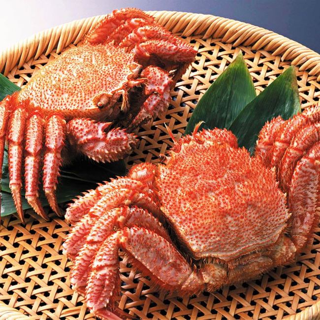 毛ガニ 毛蟹 ボイル 北海道産 400gx2尾 ギフト対応可 冷凍便