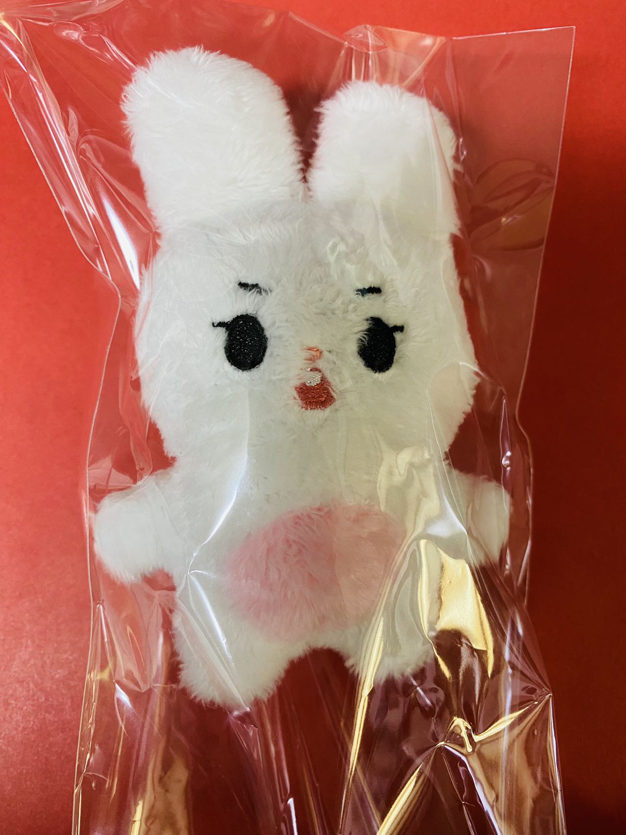 stray kids リノ ぬいぐるみ 10cm 新品 マスター
