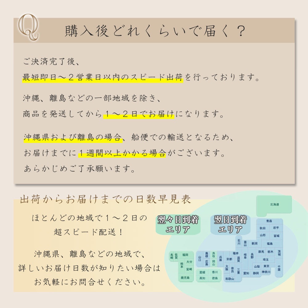 【3本セット】瞬間うるおいチャージ!オールインワン炭酸泡美容液 セラムース 50g 約30日分 無香料 炭酸美容液 ベースケア 土台 基礎 導入 ブースター 炭酸 【3本セット】瞬間うるおいチャージ!オールインワン炭酸泡美容液 セラムース 50g 約30日分 無香料 炭酸美容液 ベースケア 土台 基礎 導入 ブースター 炭酸