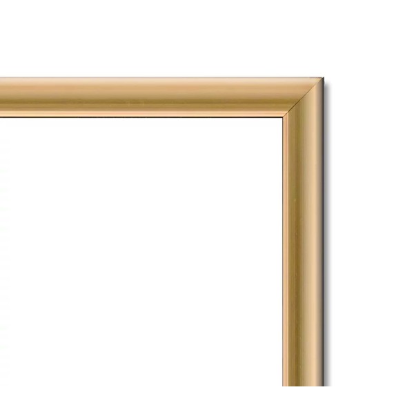 ( POPフレーム ) 軽いフレーム UVカットPET付 ポスターフレーム アルミ パネル A2 594×420mm ゴールド 額 額縁 フレーム ( POPフレーム ) 軽いフレーム UVカットPET付 ポスターフレーム アルミ パネル A2 594×420mm ゴールド 額 額縁 フレーム