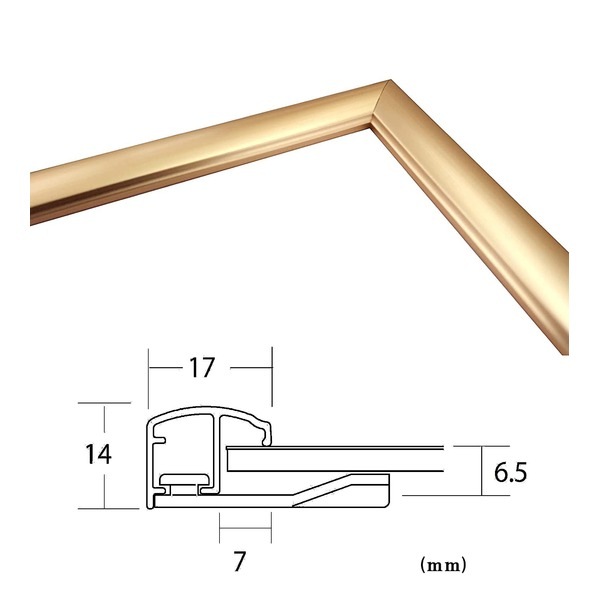 ( POPフレーム ) 軽いフレーム UVカットPET付 ポスターフレーム アルミ パネル A2 594×420mm ゴールド 額 額縁 フレーム ( POPフレーム ) 軽いフレーム UVカットPET付 ポスターフレーム アルミ パネル A2 594×420mm ゴールド 額 額縁 フレーム