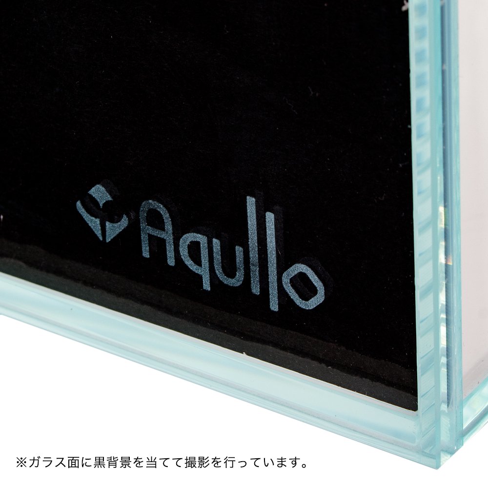 ガラス水槽 アクロ60ハイ+スーパークリア 60X30X45cm ロゴ付き 約70L 熱帯魚 水草 60cm水槽 お一人様1点限り CRC10―11―01―50―00 ガラス水槽 アクロ60ハイ+スーパークリア 60X30X45cm ロゴ付き 約70L 熱帯魚 水草 60cm水槽 お一人様1点限り CRC10―11―01―50―00
