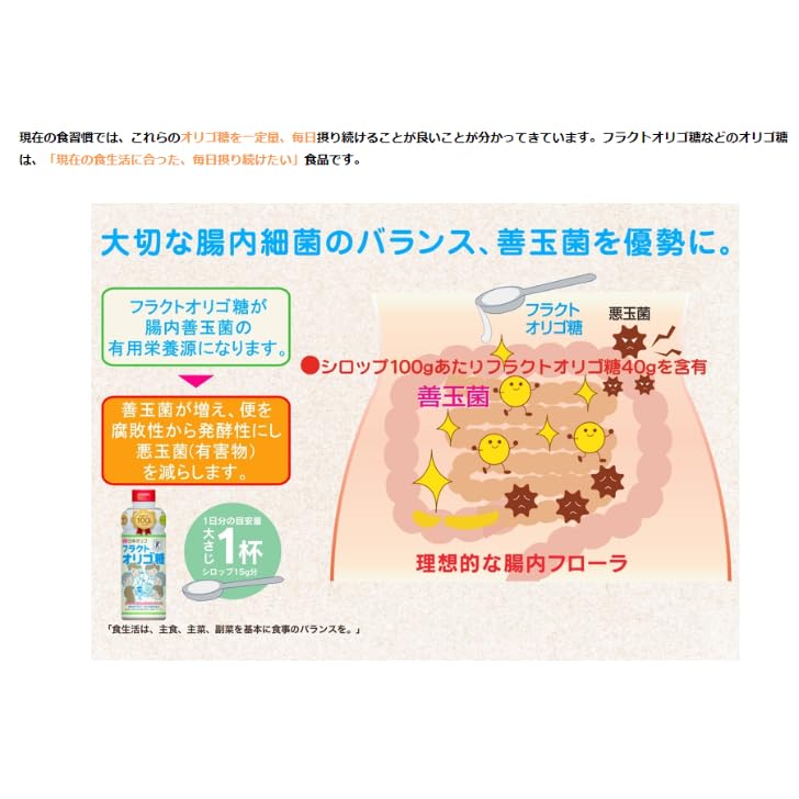 日本オリゴ糖 フラクトオリゴ糖 700g 4本セット 日本オリゴ糖 フラクトオリゴ糖 700g 4本セット