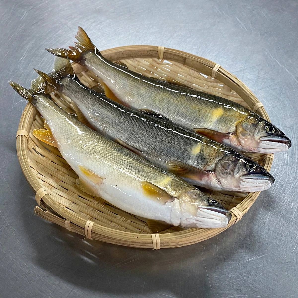 【川辺川 落ち鮎 天然鮎 1ｋｇ】急速冷凍 熊本県相良村 川辺川産　日本一の清流の鮎 子持ち鮎