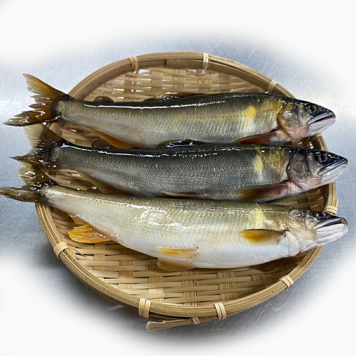 【川辺川 落ち鮎 天然鮎 1ｋｇ】急速冷凍 熊本県相良村 川辺川産　日本一の清流の鮎 子持ち鮎