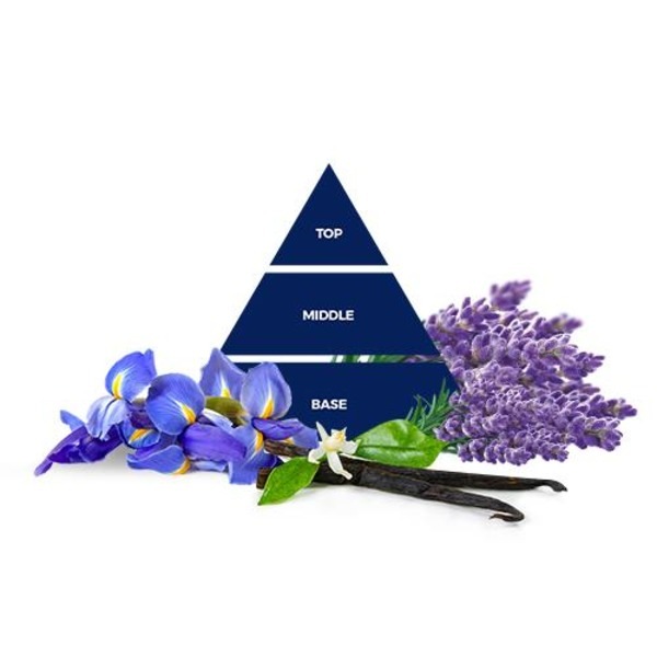 フェルチェアズーラソフナー 2L ラベンダー＆アイリス x3本