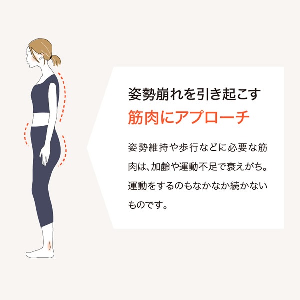 ワイドスクワットホッパー (送料無料) スクワット 筋トレ エクササイズ クッション 運動 ダイエット 開脚 ストレッチ ウエスト 下半身 お尻 裏もも 内もも 美姿勢