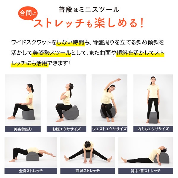 ワイドスクワットホッパー (送料無料) スクワット 筋トレ エクササイズ クッション 運動 ダイエット 開脚 ストレッチ ウエスト 下半身 お尻 裏もも 内もも 美姿勢