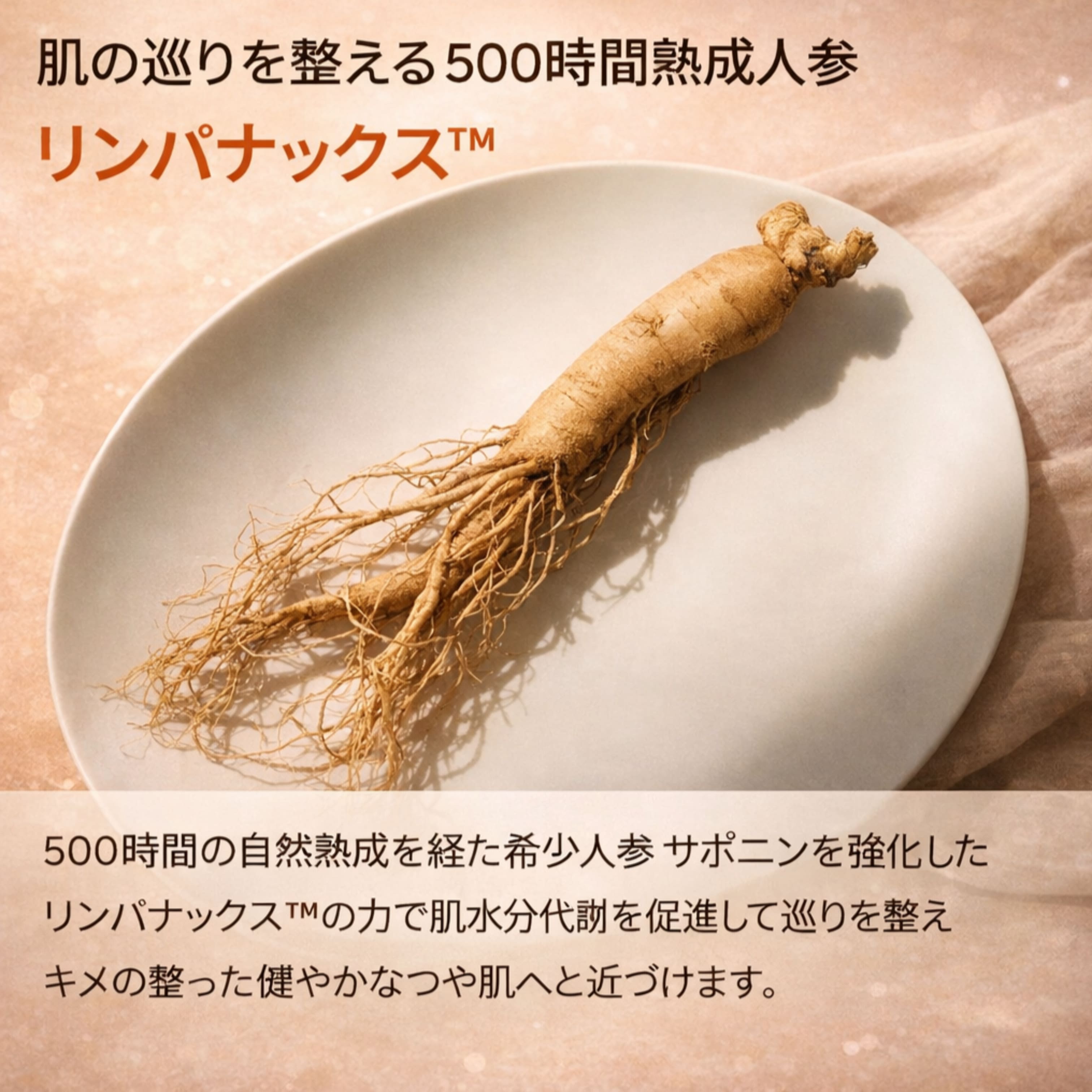 【Sulwha soo特典】ユンジョエッセンス 30ml(導入美容液, ファーストケア）(+クレンジングフォーム 50ml, ミニクリーム)_3
