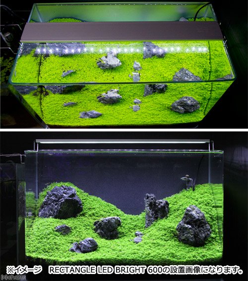 爬虫類ケージ　テラスペース　６０X４５X６０ｃｍ　穴２つあり　ドレン付き　＋　アクロ　ＲＥＣＴＡＮＧＬＥ　ＬＥＤ　ＢＲＩＧＨＴ　６００　ＣＲＣ17―15―05―60―00_6
