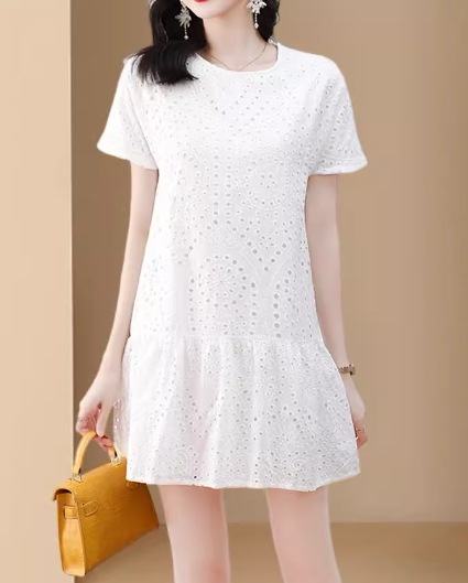 レディース ワンピース プルオーバー ミニ ショート 半袖 ラウンドネック Aライン フェミニン レース 刺繍 シフォン かわいい 大人可愛い きれいめ シンプル カジュアル 上品 おしゃれ レトロ レディース ワンピース プルオーバー ミニ ショート 半袖 ラウンドネック Aライン フェミニン レース 刺繍 シフォン かわいい 大人可愛い きれいめ シンプル カジュアル 上品 おしゃれ レトロ