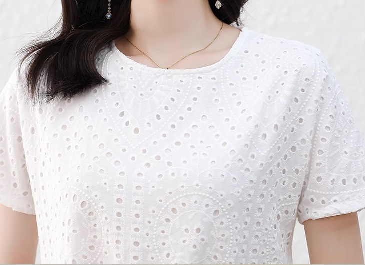 レディース ワンピース プルオーバー ミニ ショート 半袖 ラウンドネック Aライン フェミニン レース 刺繍 シフォン かわいい 大人可愛い きれいめ シンプル カジュアル 上品 おしゃれ レトロ レディース ワンピース プルオーバー ミニ ショート 半袖 ラウンドネック Aライン フェミニン レース 刺繍 シフォン かわいい 大人可愛い きれいめ シンプル カジュアル 上品 おしゃれ レトロ