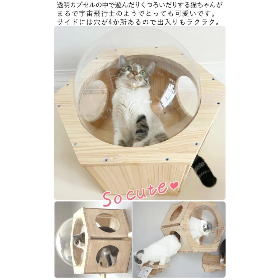 【即納】キャットステップ 壁 壁付け 猫用 ハウス ハンモック キャットウォーク 手作り 猫 幅28cm 棚板 棚 キャットタワー 木製 木 diy ベッド 【即納】キャットステップ 壁 壁付け 猫用 ハウス ハンモック キャットウォーク 手作り 猫 幅28cm 棚板 棚 キャットタワー 木製 木 diy ベッド