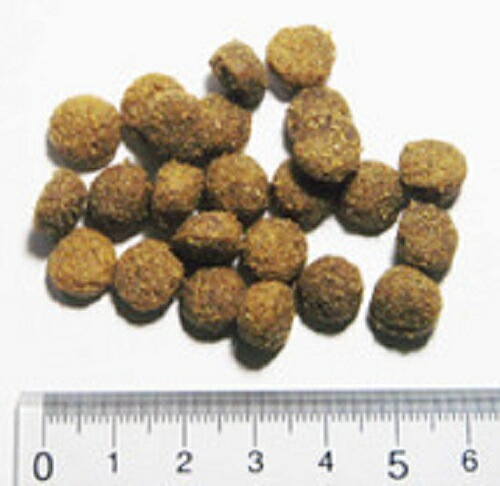 アーガイルディッシュ エバーラスティング シニア 4kg【犬想いオリジナル今治ハンドタオルプレゼント】【タオルカラー ホワイト】 アーガイルディッシュ エバーラスティング シニア 4kg【犬想いオリジナル今治ハンドタオルプレゼント】【タオルカラー ホワイト】