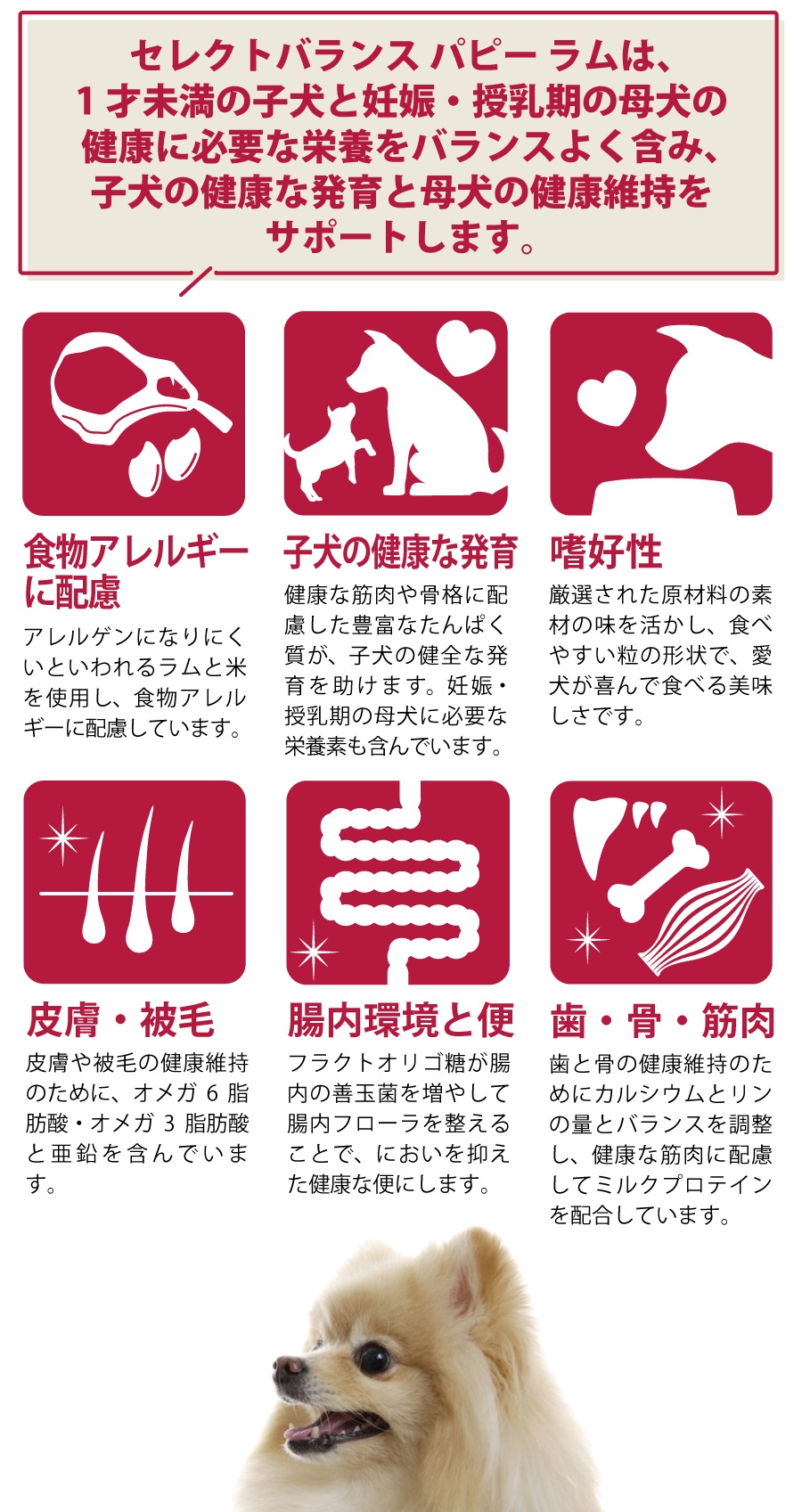 【15kg】セレクトバランス パピーラム ドックフード セレクトバランス パピー ラム小粒7kg