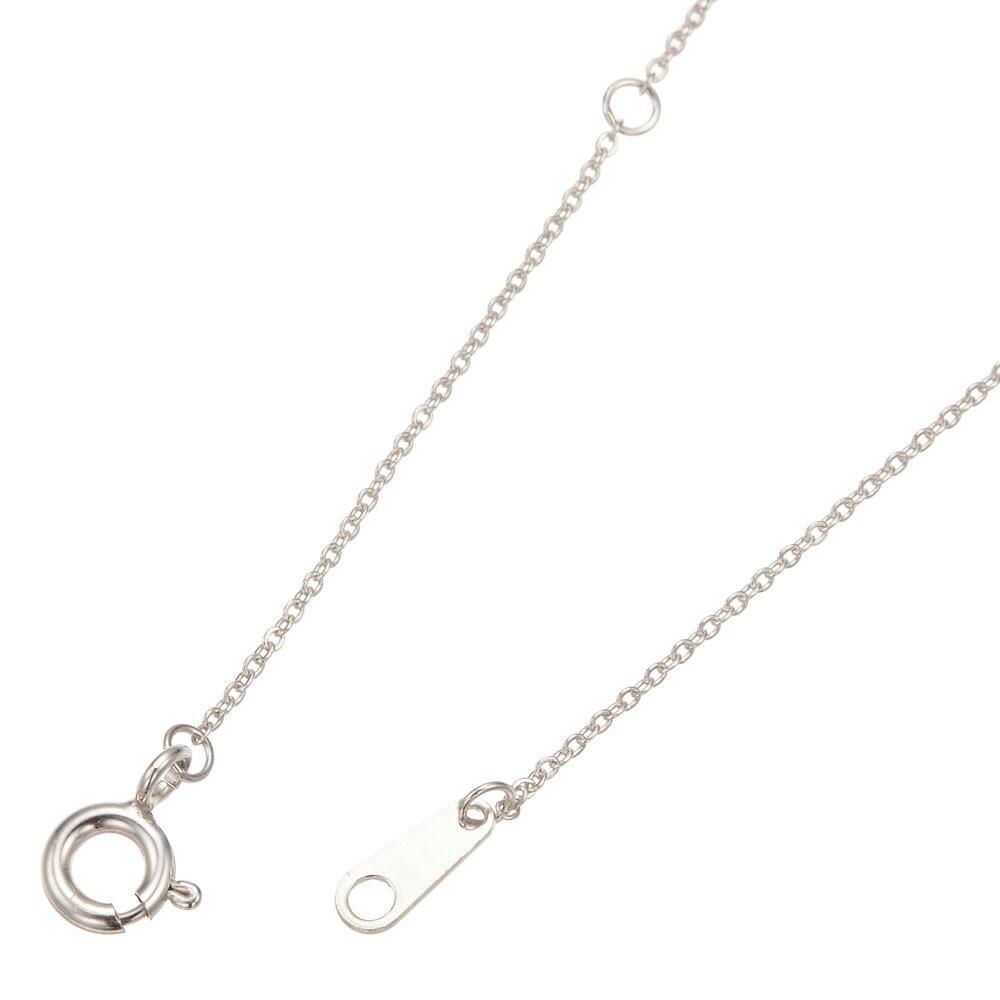 ネックレス レディース シルバー925製 シルバー キュービックジルコニア 馬蹄 蹄鉄 ホースシュー ネックレス レディース シルバー925製 シルバー キュービックジルコニア 馬蹄 蹄鉄 ホースシュー