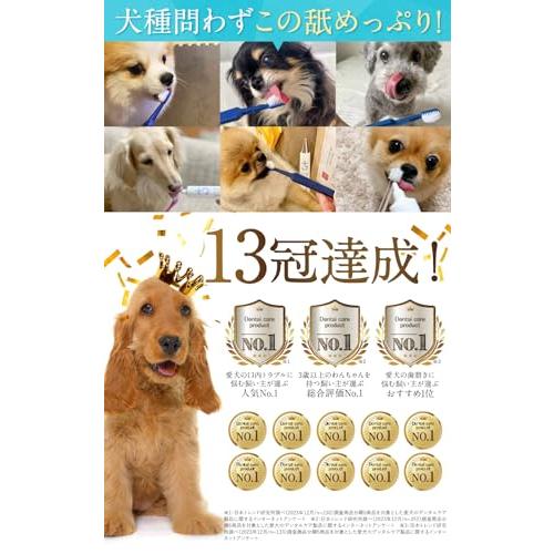 新品未使用】ドクターデンタルワン 犬用歯磨きジェル 2個セット