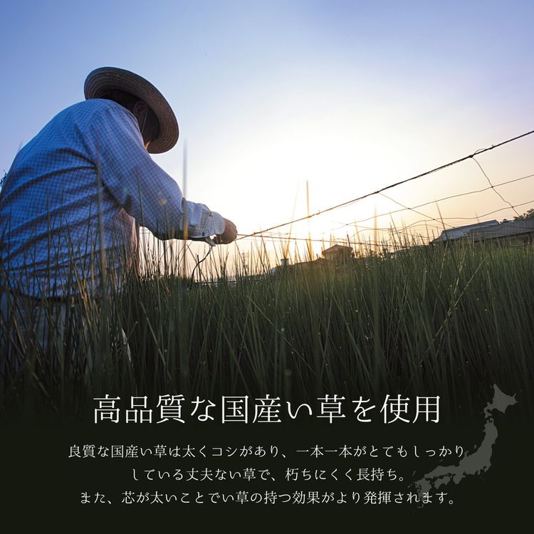 ラグマット 200×250cm 夏 い草 畳マット ラグマット 200×250cm 夏 い草 畳マット