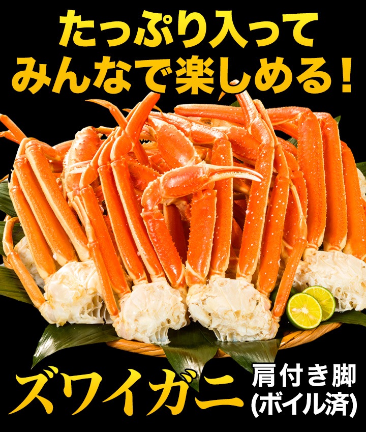 1.8kg 特大ズワイガニ肩付き脚（ボイル済）ずわい蟹 ズワイガニ脚 ずわいがに脚 グルメ