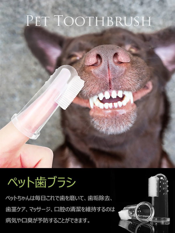 小型犬 犬 猫 歯磨き 歯ブラシ デンタルケア - 犬用品