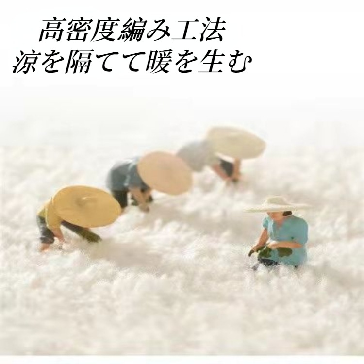 ラグ カーペット 北欧風寝室カーペット 洗える ラグマット 絨毯 マット 吸水性 速乾性 滑り止め 韓国インテリア 玄関 リビング 寝室 部屋 抗菌防臭手入れが便利だ ラグ カーペット 北欧風寝室カーペット 洗える ラグマット 絨毯 マット 吸水性 速乾性 滑り止め 韓国インテリア 玄関 リビング 寝室 部屋 抗菌防臭手入れが便利だ