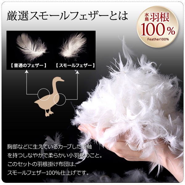 Sシングルサイズ 新20色 羽根布団8点セット ベッドタイプ 和タイプ 羽毛