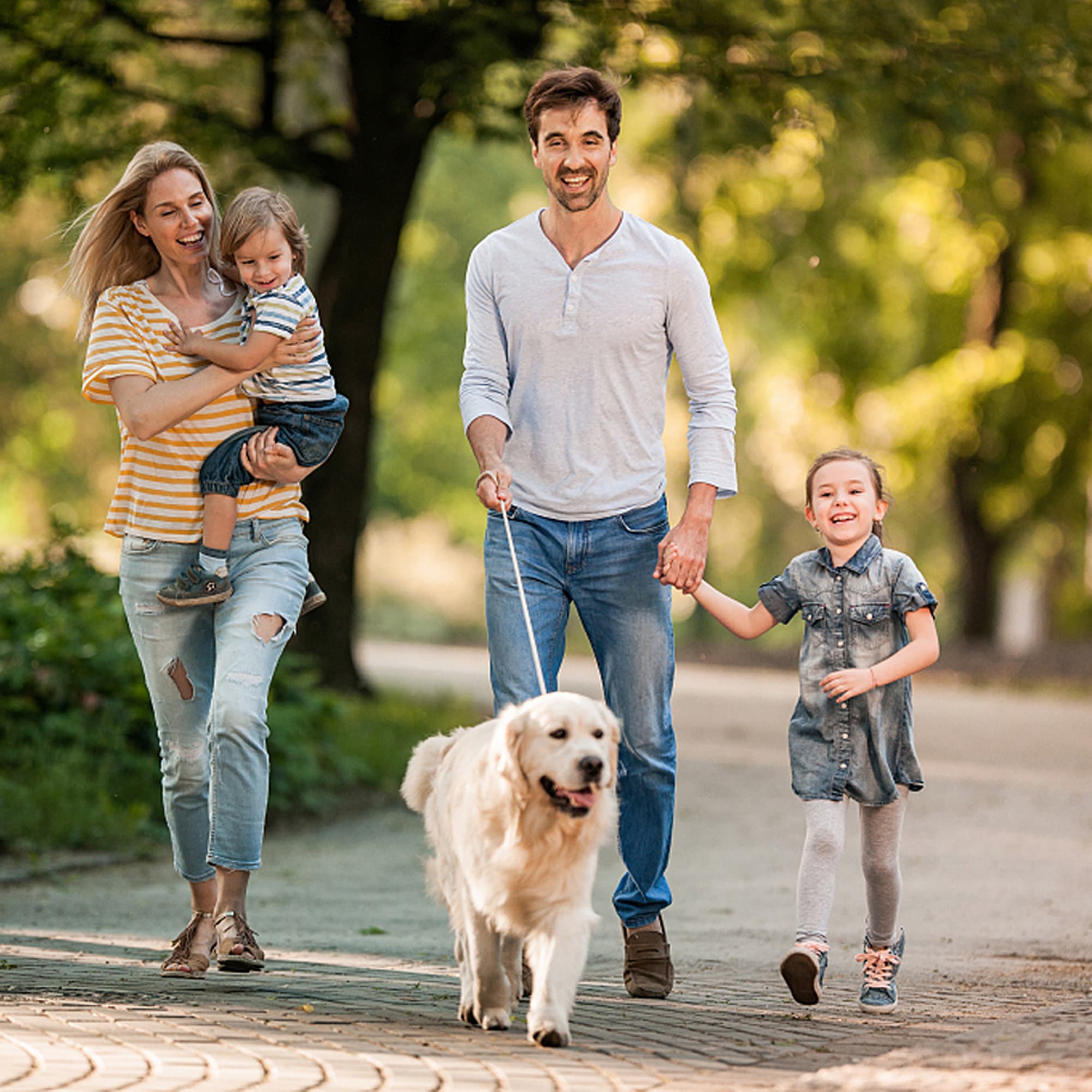 【国内発送M】1495ペットカート 耐荷重50 大型犬対応 前後ドア 乗りやすい 折りたたみ 多頭 ワンタッチ折り畳み 中型犬 小型犬 猫 軽量 組立簡単 工具不要 介護用 ドッグカート 犬 猫 動物 【国内発送M】1495ペットカート 耐荷重50 大型犬対応 前後ドア 乗りやすい 折りたたみ 多頭 ワンタッチ折り畳み 中型犬 小型犬 猫 軽量 組立簡単 工具不要 介護用 ドッグカート 犬 猫 動物