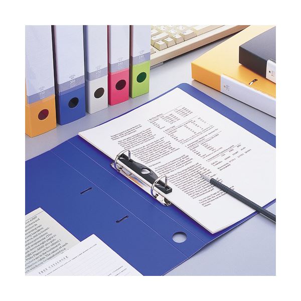 (まとめ) リヒトラブ リクエスト D型リングファイル A4タテ 2穴 450枚収容 背幅56mm 赤 G2240-3 1冊 (×30セット)