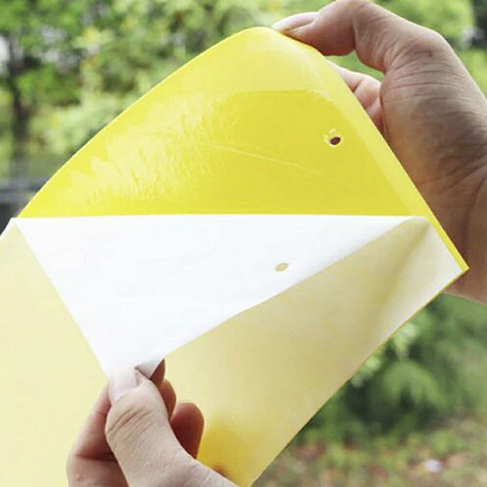 最終値下げ虫よけ 粘着シート 100枚セット ストロング 黄色 虫取り 両面テープ 害虫捕獲 捕虫シート 害虫対策用品 強力 両面粘着性 安全無毒 簡単取付 粘着トラップ 室内外対応 最終値下げ虫よけ 粘着シート 100枚セット ストロング 黄色 虫取り 両面テープ 害虫捕獲 捕虫シート 害虫対策用品 強力 両面粘着性 安全無毒 簡単取付 粘着トラップ 室内外対応