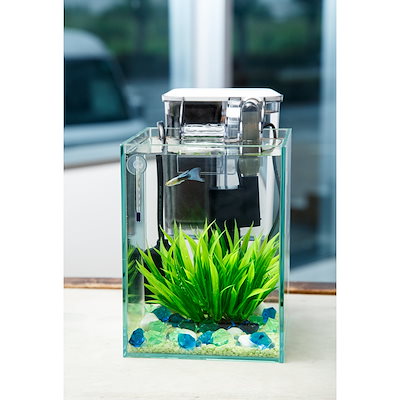 Qoo10] （熱帯魚）飼育セット グッピーセット g : 熱帯魚