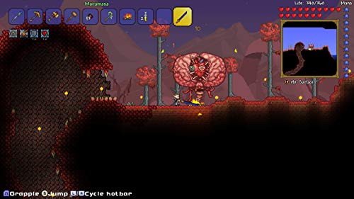 テラリア -Switch