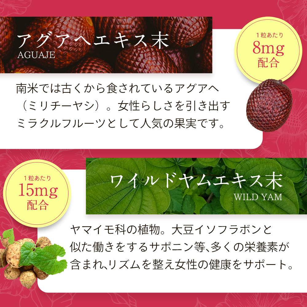 AGUAJE ＆ WILD YAM（6個セット約6ヶ月分）