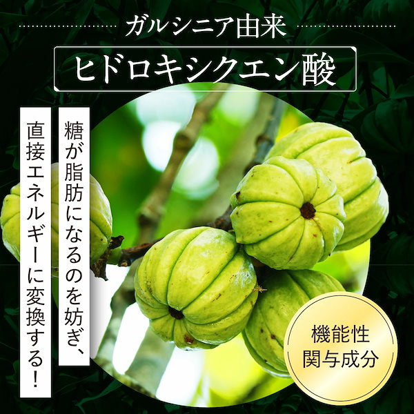 BURNiBO バニボ ダイエットサプリ　さくらの森 sakura-forest_burn2