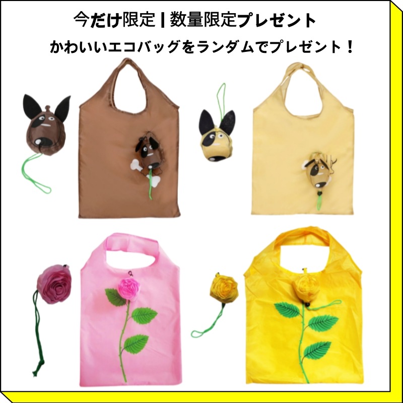 [オールヨン1位] 大容量 バイオが バイオティーン ダメージヘア 改善 脱毛緩和 シャンプー 1000ml