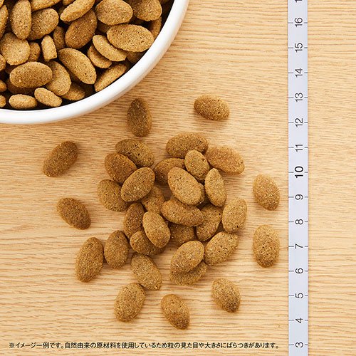 ニュートロ　体重管理用　４ｋｇX２袋＋パウチ　１袋　おまけ付　犬　ドッグフード　お一人様１点限り　ＣＲＣ45―02―53―10―00