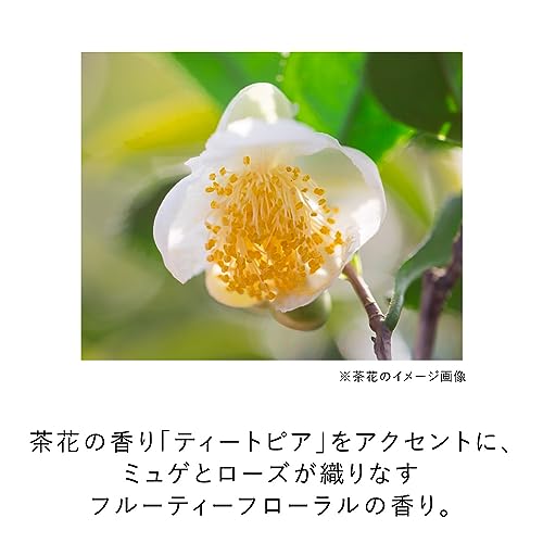 KANEBO(カネボウ) メロウ オフ ヴェイル KANEBO(カネボウ) メロウ オフ ヴェイル