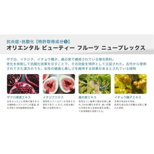 【国内正規品】 EPIDERM PLUS エピダームプラスクリーム 100g RIBESKIN フェイスクリーム カーボキシー炭酸パック エピダーム プラス 保湿 乾燥 美容 コスメ スキンケア