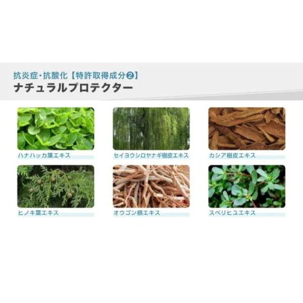 【国内正規品】 EPIDERM PLUS エピダームプラスクリーム 100g RIBESKIN フェイスクリーム カーボキシー炭酸パック エピダーム プラス 保湿 乾燥 美容 コスメ スキンケア