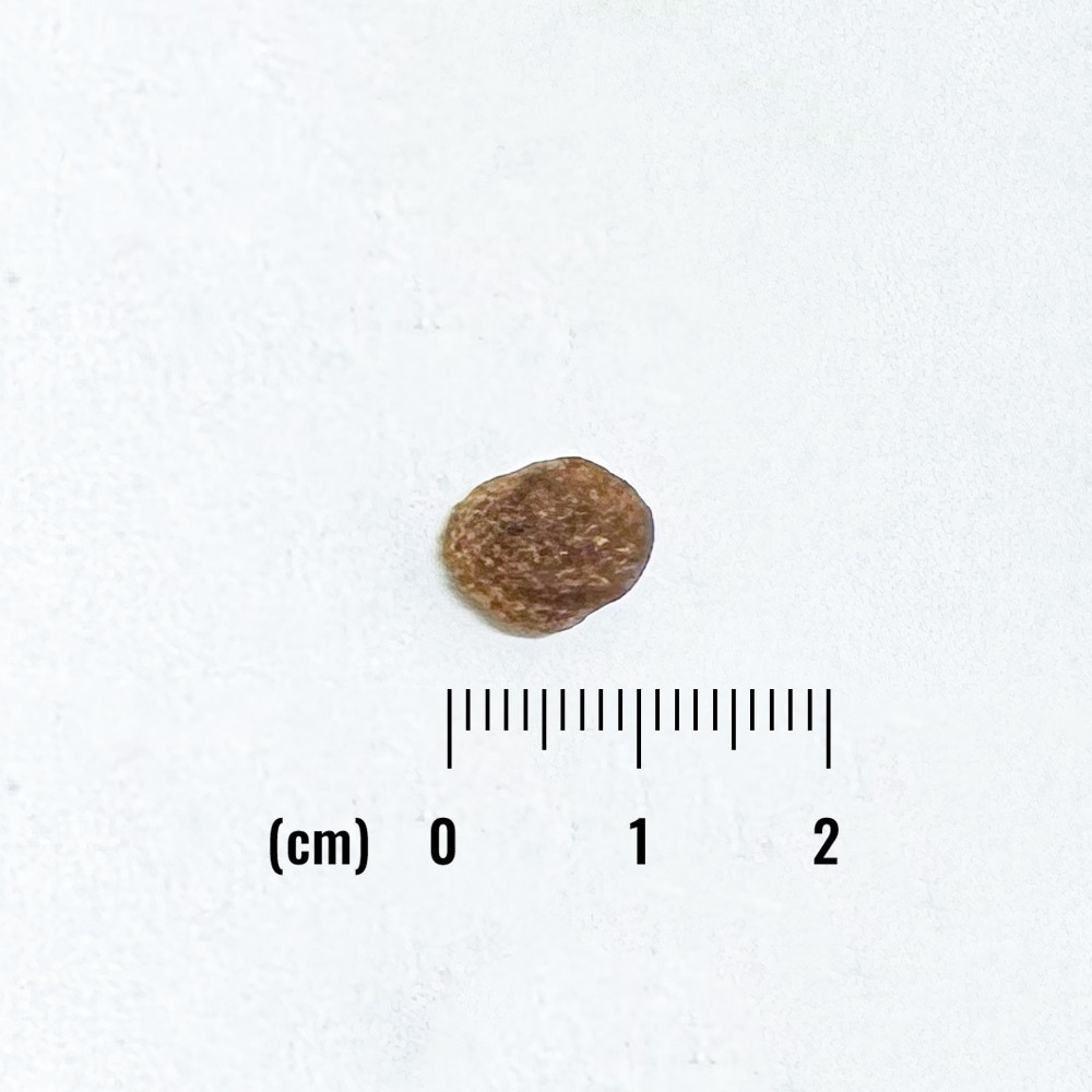 ナチュラルバランス LID RESERVE 成犬用 ダック&ポテトレシピ 小粒 1.8kg 正規品 グレインフリー 総合栄養食 成犬期用 ドッグフード Natural Balance