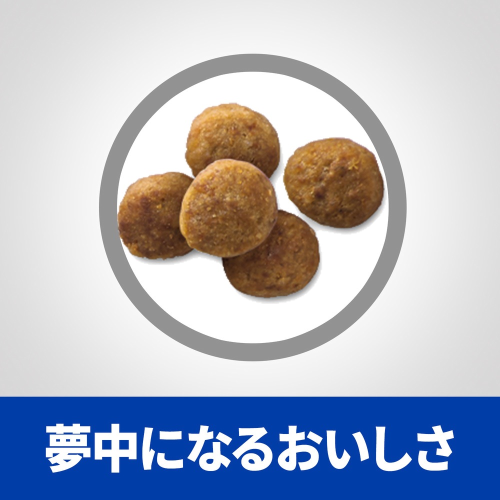 ヒルズ 食事療法食 犬用 オールスキンバリア ドライ 小粒 1.35kg