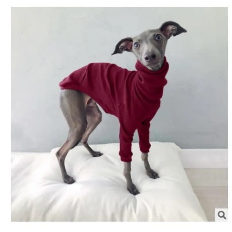 ソフトフリーススウェットベスト,タートルネック,フード付きスウェットシャツ,大型犬用,綿,イタリア産,犬用衣類,冬 ソフトフリーススウェットベスト,タートルネック,フード付きスウェットシャツ,大型犬用,綿,イタリア産,犬用衣類,冬